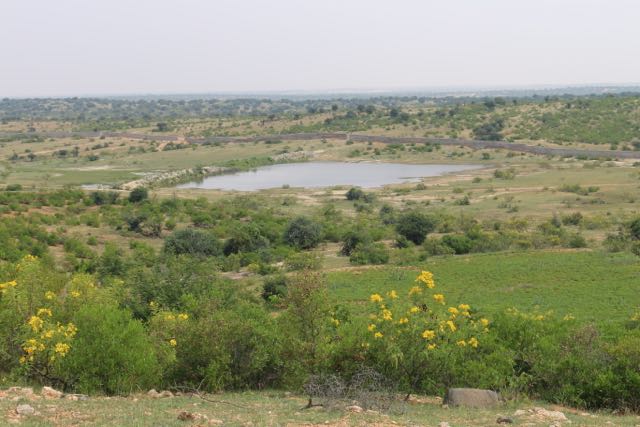 View of Challakere Grasslands