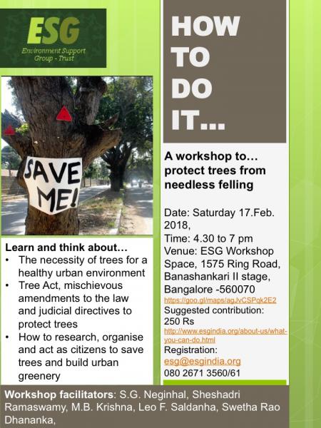 How to Save Trees Workshop