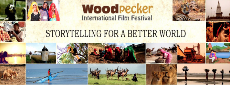 Woodpecker Film Festival